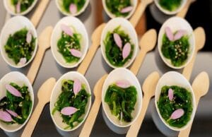 bodo galéria innoveat catering