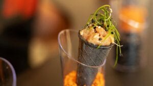 bodo galéria innoveat catering