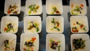 bodo galéria innoveat catering